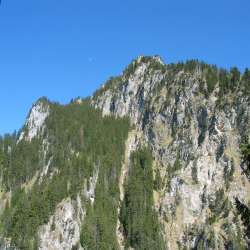 Neuschwanstein  Picture 102.jpg